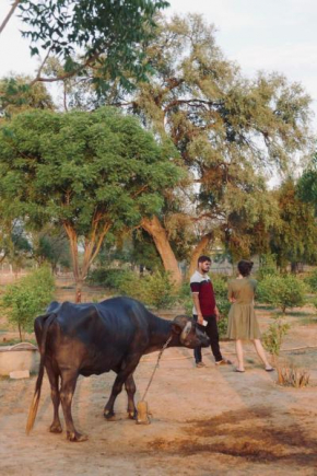 EcoVillageJaipur
